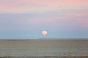 just say yes full moon