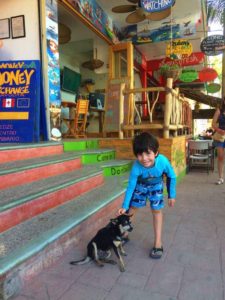 sayulita gallery