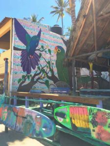 surfboards sayulita mexico